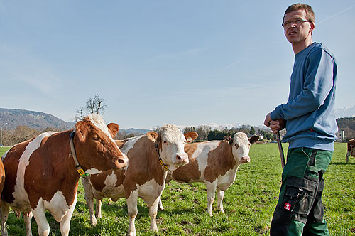 Christan Gumpinger auf der Weide