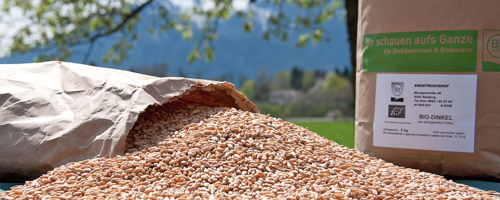 Bio-Dinkel, Weizen, Roggen aus eigenem Anbau